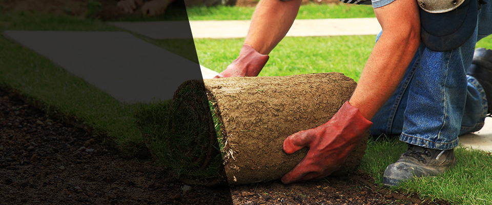 Pacific Landscapers